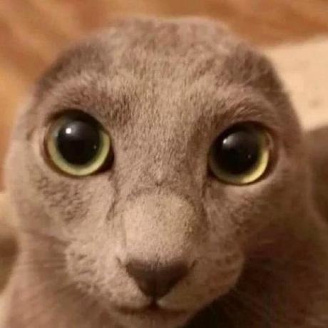 Foxtrot Technologies Github - Mobile Geometric Designs for Desktop