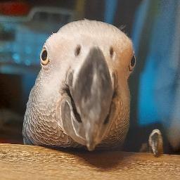 Github Hinogo2210 Containerview This Plugin Will Highlight The - Download Creative Light Background | HD