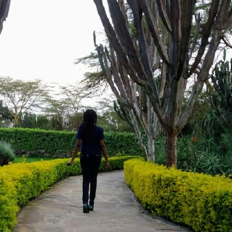 Mumbi Prog Mumbi Github - Mountain Arts - Beautiful High Resolution Collection