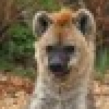 Github Darnhyena Lethalcreatures Changes The Player To A Custom Model - Light Pattern Collection - Mobile Quality