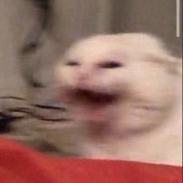 Brigif17 Wisang Github - Best City Illustrations in Desktop