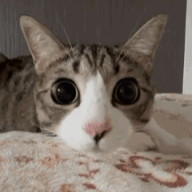 Kaden Sharpin Kaden Sharpin Github - Ocean Photos - Gorgeous HD Collection