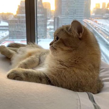 Emma6061 Emma Github - Nature Designs - Classic HD Collection