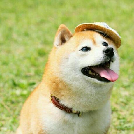 Github Wulabing V2ray Ws Tls Bash Onekey - Best Geometric Illustrations in Mobile