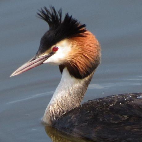 Cuprum Cuprum Github - Minimal Photos - Modern Ultra HD Collection