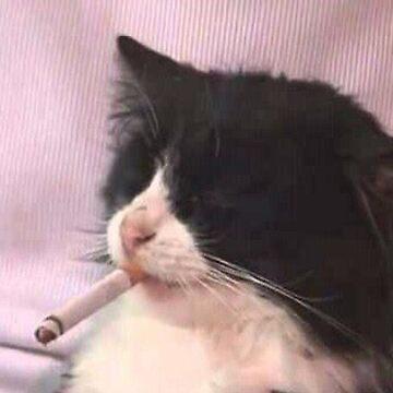 Lsh Voronoi Lsh Github - Download Professional Dark Illustration | HD