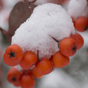 Github Mask Sir Herm - Download Perfect Space Background | Desktop