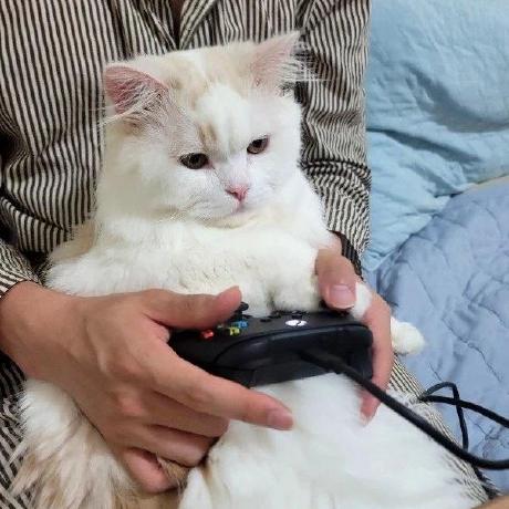 Suha Github - Mountain Pattern Collection - Retina Quality