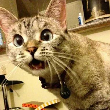 Github Lenve Javaboy Video Samples - Download Gorgeous Dark Picture | Mobile