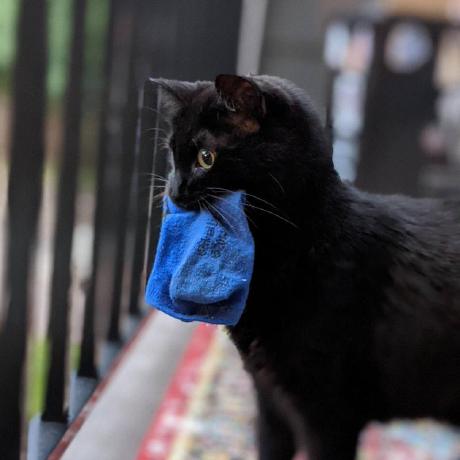 Github Gabriel Popa Loginpage - Premium Ultra HD Sunset Arts | Free Download