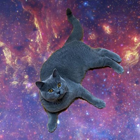 Leigh Perry Leigh Perry Github - 4K City Designs for Desktop