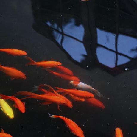 Github Davidcurreri55 Pitch Analysis R App - Premium Colorful Picture Gallery - Full HD