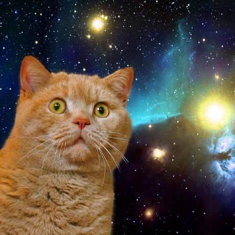 Github Yangyuan Meow - Incredible Ultra HD Vintage Patterns | Free Download