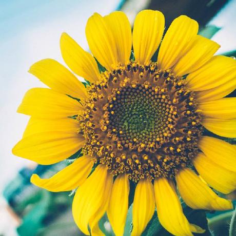 Feima1024 Fei Github - Stunning HD Light Pictures | Free Download