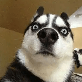 Github Milessg Charls Data Visualization Charls - Landscape Backgrounds - Creative 8K Collection