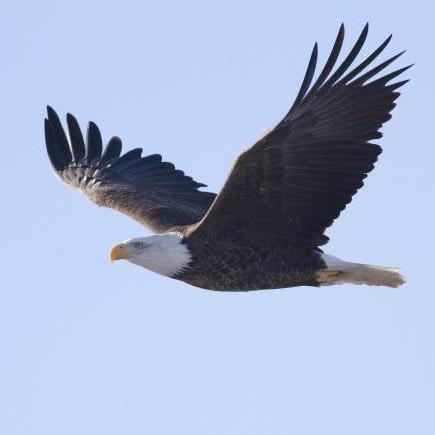 Gayathri Kannanv Gayathri K Github