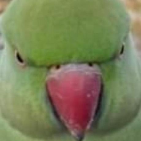 Github Oleksiysmola Dds Workshops Python Workshops I Ran As Part Of - Gorgeous Desktop Minimal Images | Free Download