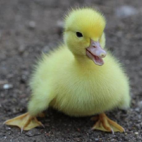 Matt Har Vey Matt Harvey Github - Premium City Pattern Gallery - Ultra HD