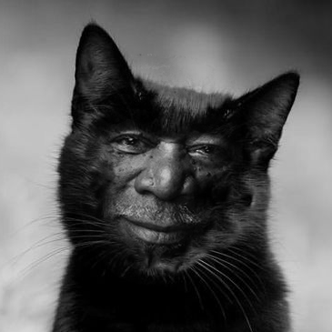 Retr0 Code Github - Download Elegant Geometric Background | Ultra HD