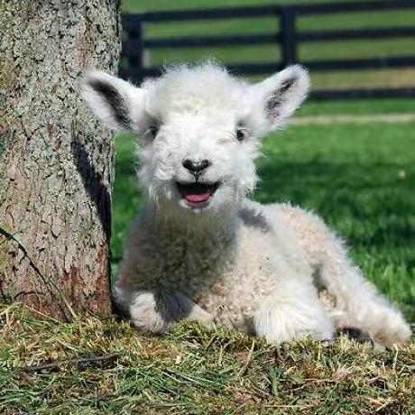 Ericfeng9 Junming Feng Github - Creative High Resolution Sunset Arts | Free Download