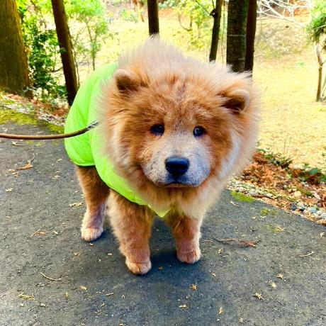 Hiroshiofficial Hiroshi Github - Gorgeous High Resolution Abstract Photos | Free Download