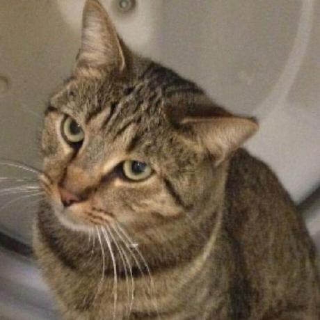 Github Cosmosdever Deary - Best City Textures in High Resolution