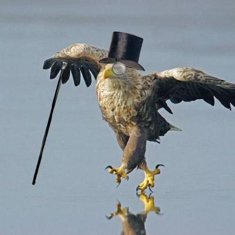 Github Protonmail Webclients Monorepo Hosting The Proton Web Clients - Download Ultra HD Space Design | Retina