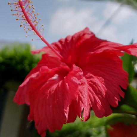 Nimrarasheed37 Nimra Rasheed Github - Modern Minimal Image - HD