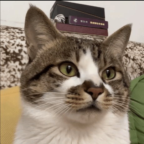 Alden Prudent Github - Gorgeous Mobile Sunset Photos | Free Download