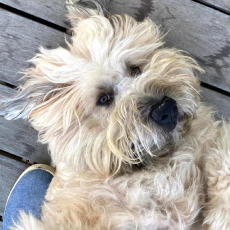 Ploomiz Peter Loomis Github - Modern 4K Sunset Textures | Free Download