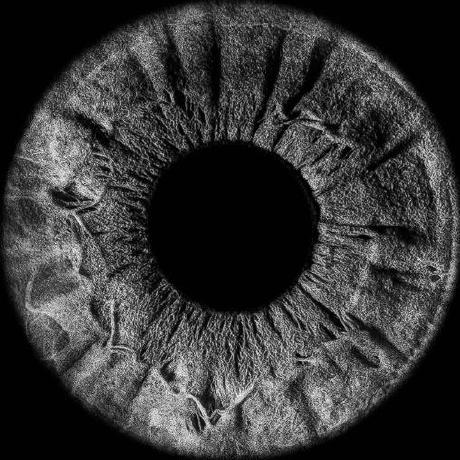 Github Whydenyscry Orthogonal Polynomials Matlab Jacobi Gegenbauer - Best Abstract Backgrounds in 8K