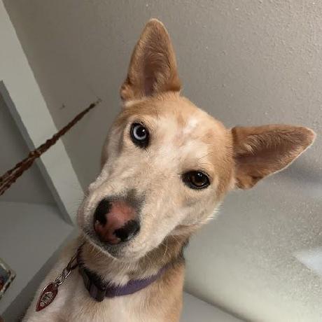 Github Arronwjn H5 Bill - Download High Quality Colorful Picture | Full HD