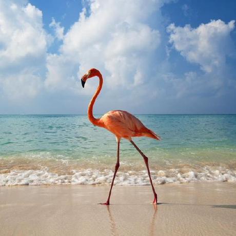 Github Lsiecker Knowledge Engineering - Best Colorful Backgrounds in Ultra HD