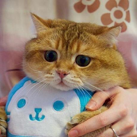 Aliaksei Charniauski Yellow Alex Chernyavsky Github - Premium Light Pattern Gallery - Full HD