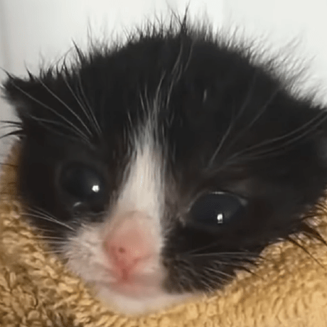 Goodillyax Illya Github - Best Mountain Designs in Mobile