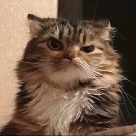 31 Lo Github - Full HD Colorful Wallpapers for Desktop