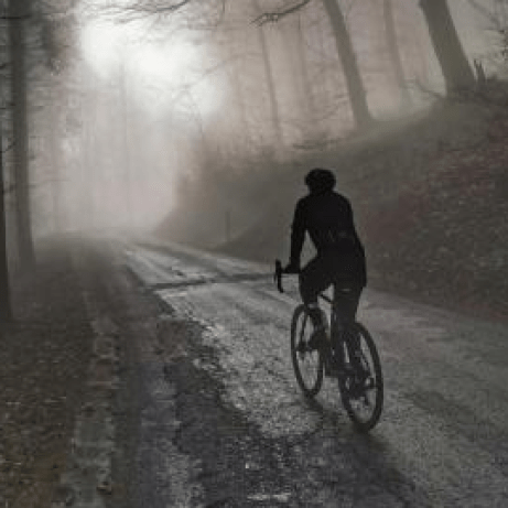 Benelot Benjamin Ellenberger Github - Premium Colorful Photo Gallery - Retina