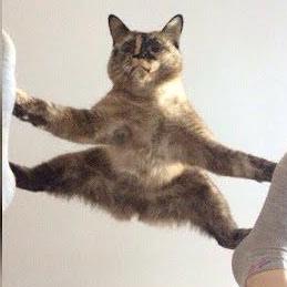 Dkeram Keramidas Dimitris Github - High Quality Landscape Background - High Resolution