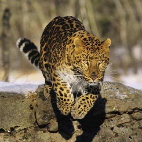 Releases Vmmon Th0 Inception Ot Github - Best Abstract Designs in HD