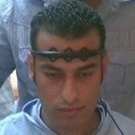 Github Agemagician Ankh Ankh Optimized Protein Language Model - Geometric Texture Collection - Desktop Quality