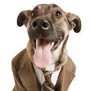 Hammingweight Ca Meijer Github - Premium Nature Wallpaper Gallery - 4K