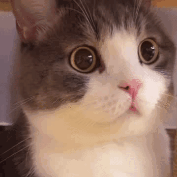 Dayuan Xie Github - Geometric Images - Beautiful HD Collection