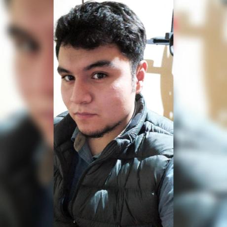 Saulleonardo1999 Saul Rodriguez Github