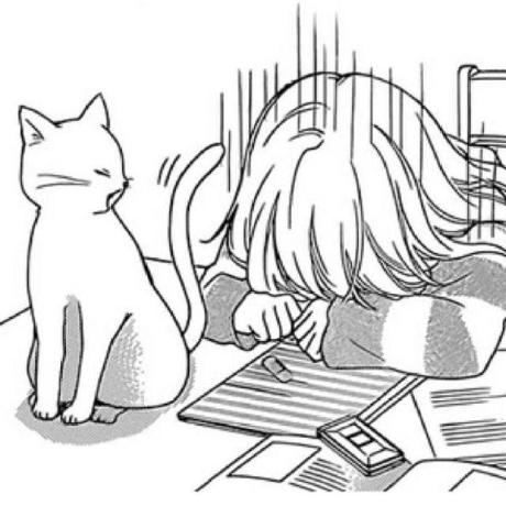 Github Dtzxporter Io Model Semodel Semodel Plugin For Blender - 8K Sunset Illustrations for Desktop