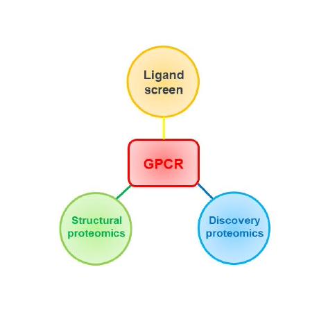 Shui Wy Github - Ultra HD Ultra HD Ocean Patterns | Free Download