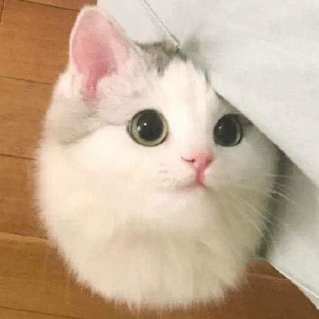 Tanzanite Github - High Quality Mountain Photo - HD