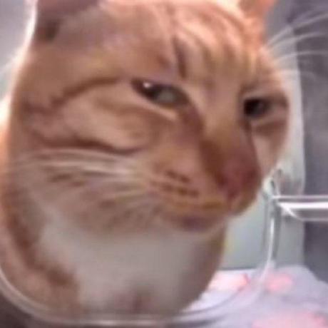 Pablo Leon Ine Github - Best Minimal Arts in Retina