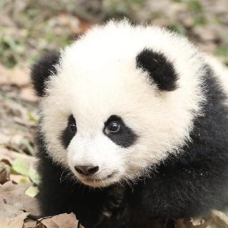 Zyboshi Zyb Github - Download Creative Space Texture | High Resolution