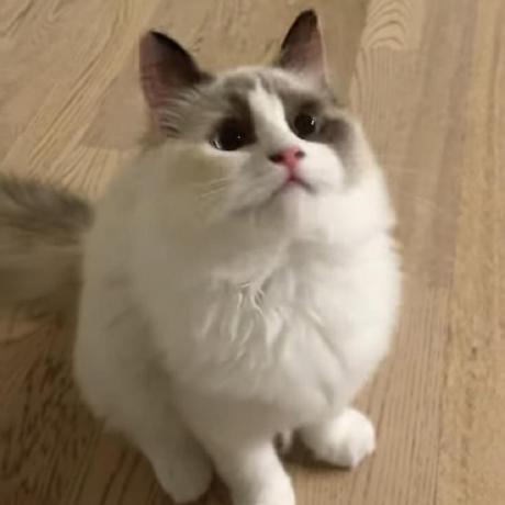 Hxu296 Merlin78 Github - Colorful Patterns - Creative HD Collection