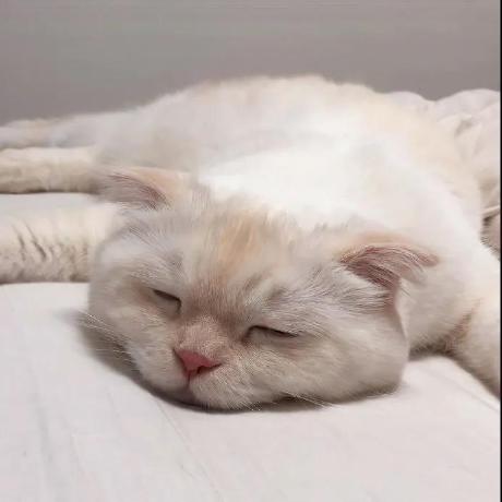 Team Iridescent Github - Stunning Colorful Design - HD